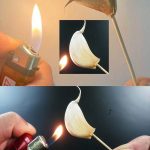 Why Use Bay Leaves in the Oven?