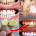 15 Top Gardening Hacks to Take Your Garden to the Next Level