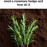 Love these ideas, esp #5