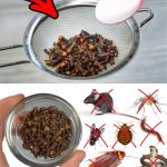 Don’t Throw Away Potato Peels—Turn Them into Free Plant Food!