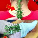 12 Things You Need to Know About Lemon Water