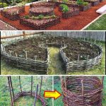 A Natural Fertilizer That Makes Tomatoes Grow 10 Times Faster