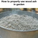 Why should you sleep with an onion in your bedroom?