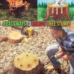 Indoor Bottle Herb Garden – From Recycled Milk Bottles