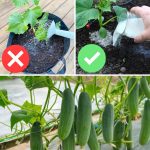 16 top veggies that grow in a shady garden