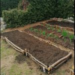 10 Veggies and Fruits That Thrive in 5-Gallon Buckets