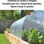 Pure Magic: Burning a Clove of Garlic, What Happens After 15 Minutes at Home?