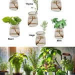 Bread in a Jar in a Minute: A No-White Flour, No-Yeast, No-Sugar Wonder!