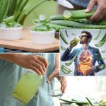 5 Natural Remedies to Combat Cavities, Plaque, and Yellowing Teeth at Home