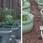 I had no idea you could do this