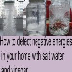 How to Make Self-Watering Seed Pots from Recycled Items