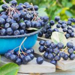 Recipe for the perfect lemonade, it contains no sugar!