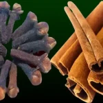 7 Ways How to Attract Hedgehogs to Your Garden