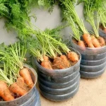 I learned something new today