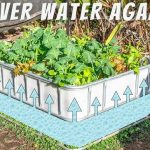 Why should you sleep with an onion in your bedroom?