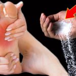 If You See These Eggs in Your Garden, Act Immediately!