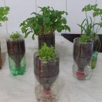 Scrambled eggs with sautéed mushrooms, broccoli, and avocado: