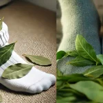 How to Grow Strawberries in a Planter: A Comprehensive Guide