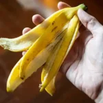 The Sweet and Creamy Secret to Flawless Skin Called Yogurt and Honey Magic