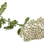 Don’t Throw Away Tuna Cans, They’re Worth Their Weight in Gold at Home: How to Reuse Them