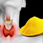 1 dragonfly can eat 100s of mosquitoes a day: Keep these 12 plants in your yard to attract dragonflies