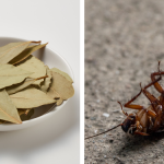 Wish I saw this sooner