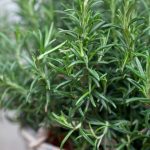 This is totally news to me