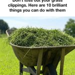 Elevate Your Gardening: A Step-by-Step Guide to Building a Simple Raised Bed