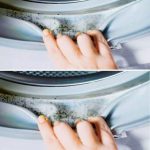 How to Grow Sweet Potatoes Fast and Achieve Big Harvests with Compost Tea Top Dressing