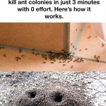 10 Easy to make And Creative DIY Clay Pot Projects For The Weekend