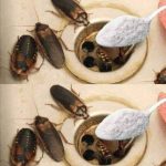 7 Common Cucumber Planting Mistakes and How to Avoid Them for a Thriving Harvest