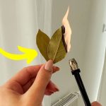 Apple Cookies: The Original Way to Make Them Delicious