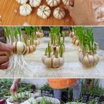 The Secret Ingredient for Tender Meat: Baking Soda