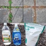 Repel Pests Naturally Using Mentholated Ointment: A Powerful Household Trick