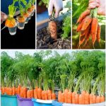 What an amazing list!