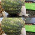 Rice in the Bathroom: What is it for?