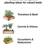 Refreshing Strawberry Lemonade Recipe