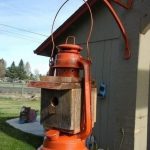 1 dragonfly can eat 100s of mosquitoes a day: Keep these 12 plants in your yard to attract dragonflies