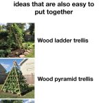 20 Birdhouse Ideas To Attract Bird Buddies To Your Garden