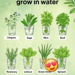 I didn’t know about this