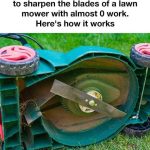 10 Proven Natural Pest Repellents You Already Have at Home