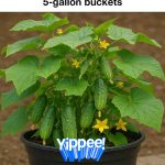 A Collection Of 10 Raised Garden Beds That Will Blow Your Mind