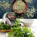 Revolutionizing Carrot Cultivation: From Seed to Harvest