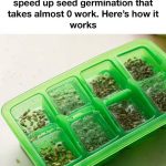 What Are Eye Floaters? Here’s What to Do If You Start Seeing Them