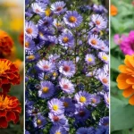 Just 1 Spoon Makes the Lemon Tree Overflow with Fruit (Lemons All Year Round)