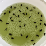 The Truth Behind the Small Scar on the Upper Left Arm and Its Real Meaning