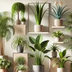 Natural Juice to Support Heart Health and Clear Arteries