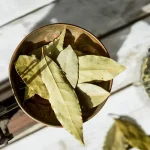 7 Must-Know Tips for Growing Tomatoes in Containers Like a Pro