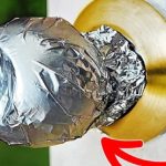 Don’t Touch These If You See Them on Your Plants