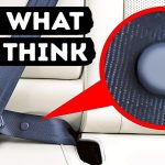 15 Must-Know Things For Snake Plant Owners